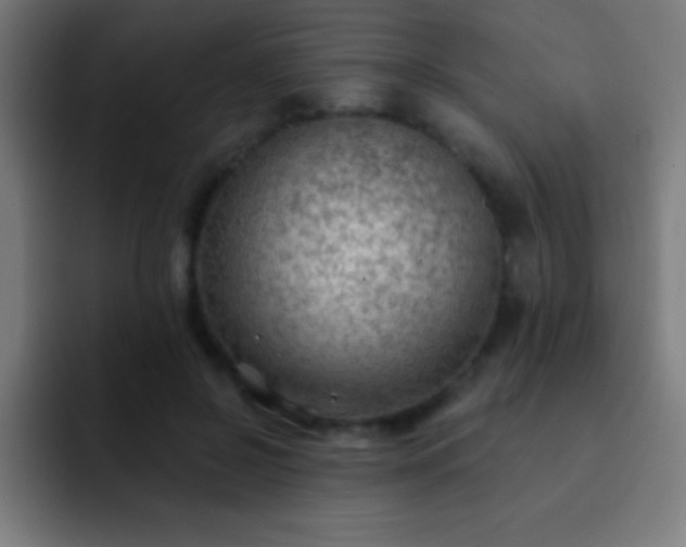 X0000093090550200710031814