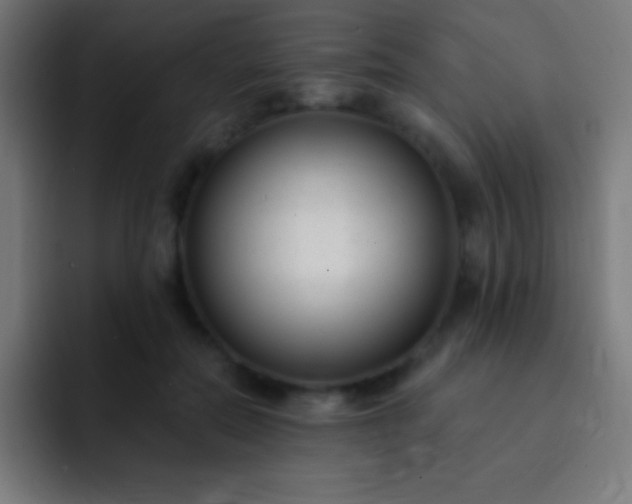 X0000093090554200710031814