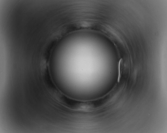 X0000093090555200710031814