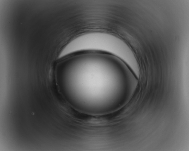 X0000093090556200710031814