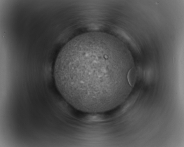 X0000093090557200710031814