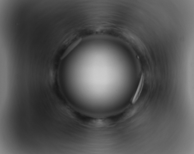 X0000093090558200710031814