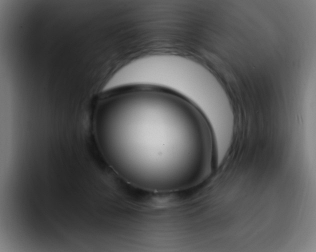 X0000093090560200710031814