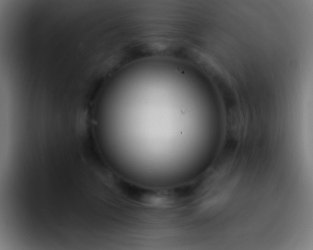 X0000093090563200710031814