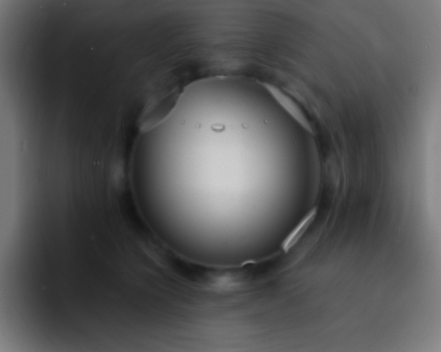 X0000093090564200710031814