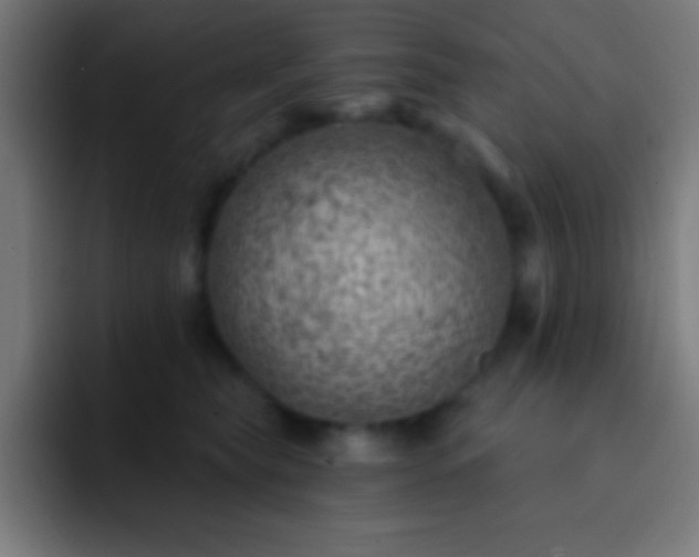 X0000093090565200710031814