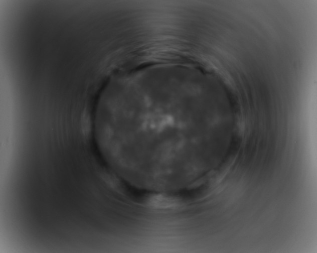 X0000093090568200710031814