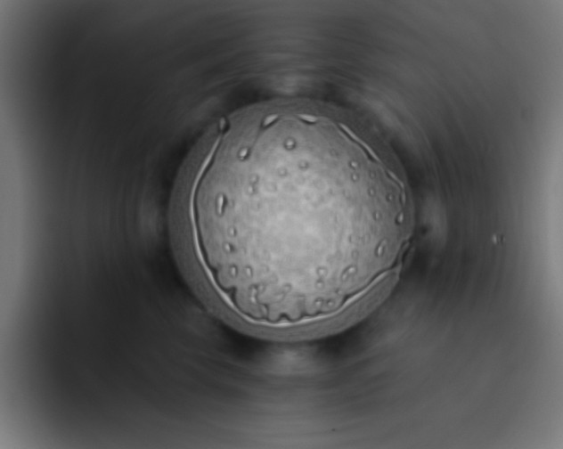 X0000093090569200710031814