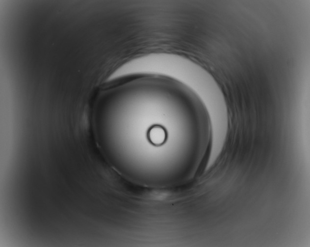 X0000093090570200710031814