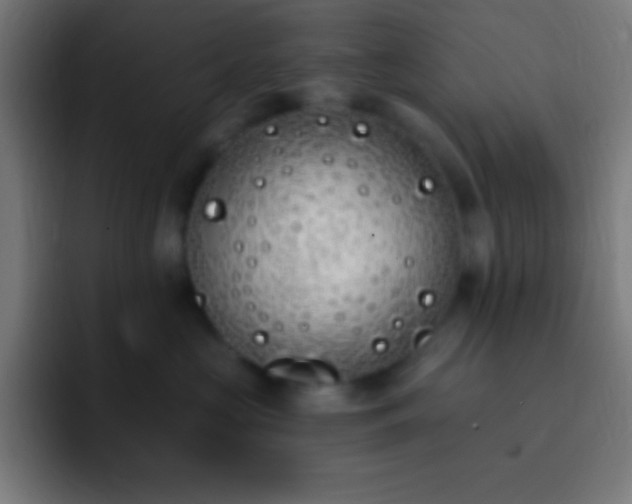 X0000093090573200710031814