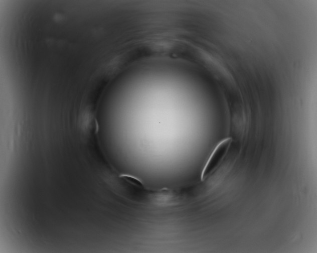 X0000093090574200710031814