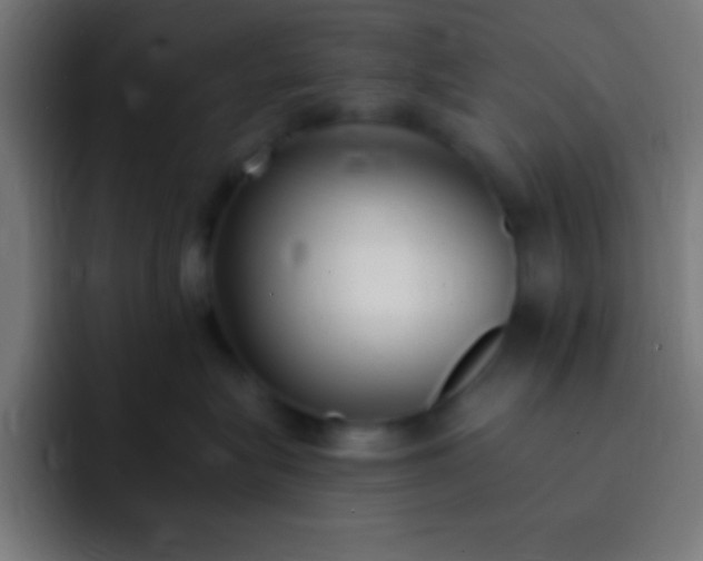 X0000093090575200710031814