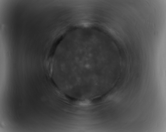 X0000093090576200710031814