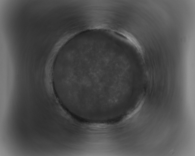 X0000093090577200710031813