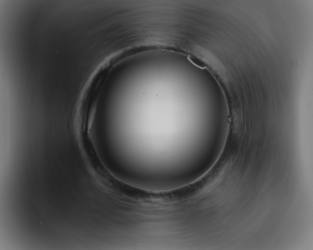 X0000093090580200710031813