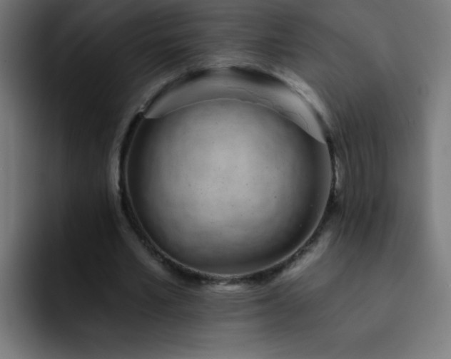 X0000093090581200710031813