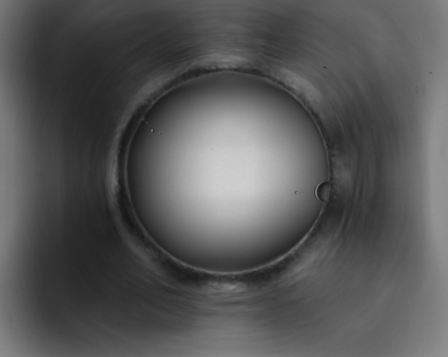 X0000093090582200710031813