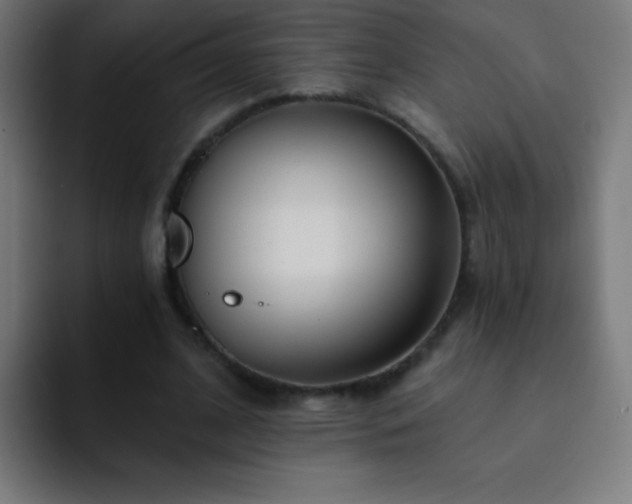 X0000093090584200710031813