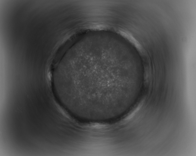 X0000093090585200710031813