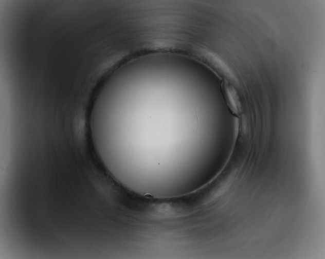 X0000093090588200710031813