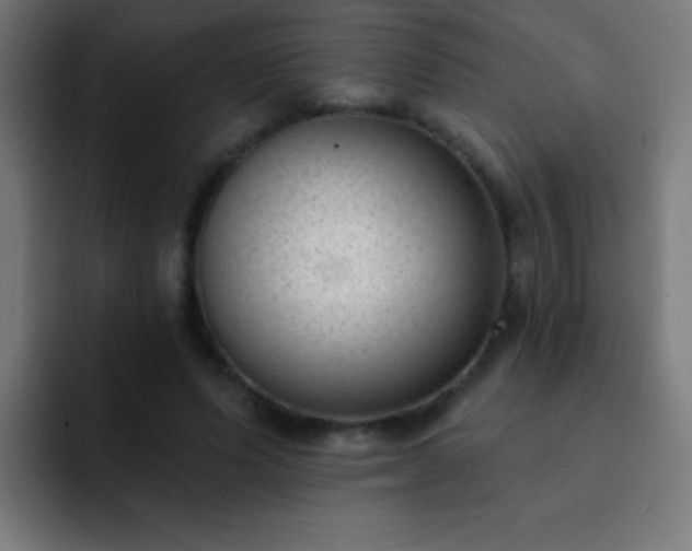 X0000093090591200710031813