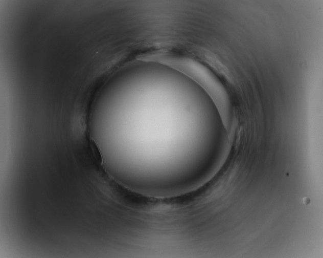 X0000093090593200710031813