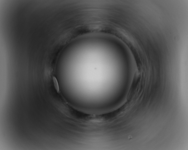 X0000093090601200710031813