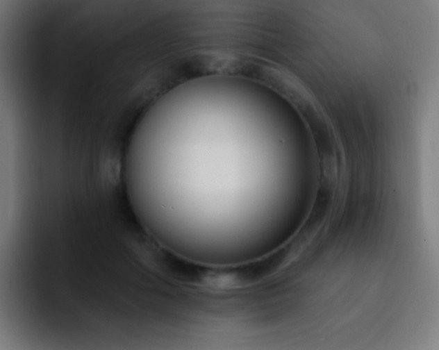 X0000093090602200710031813