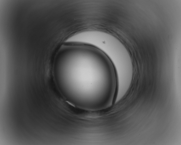 X0000093090604200710031813