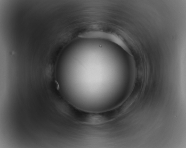 X0000093090605200710031813