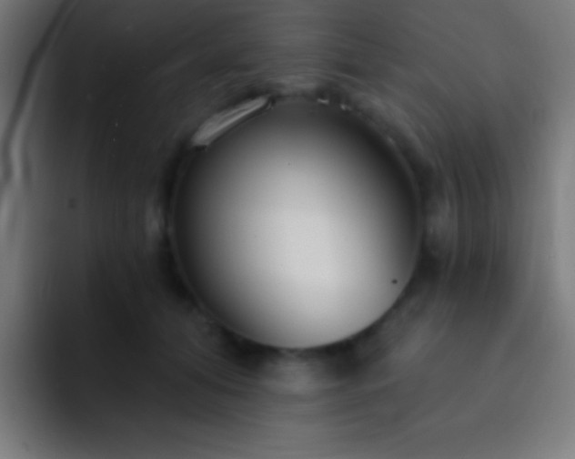 X0000093090608200710031813