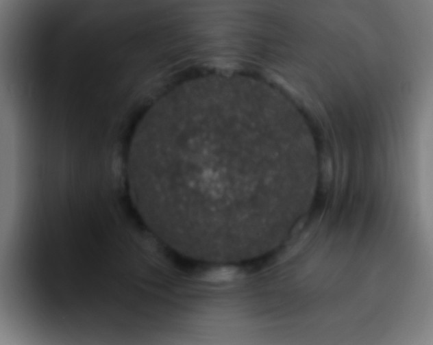 X0000093090609200710031813