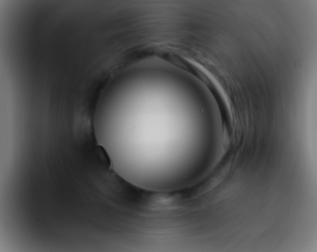 X0000093090613200710031813