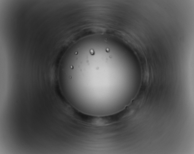 X0000093090616200710031813