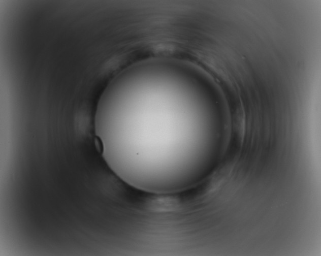 X0000093090619200710031813