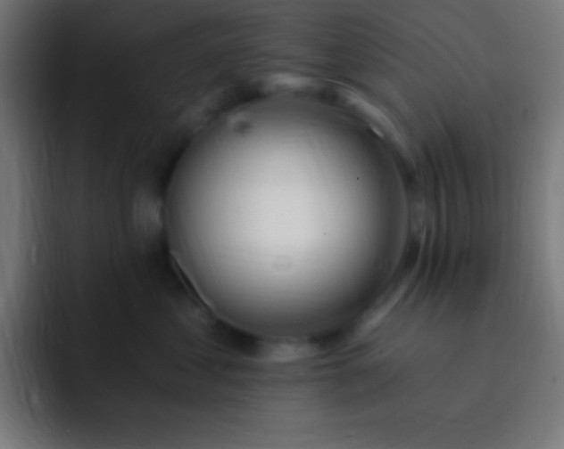 X0000093090621200710031813