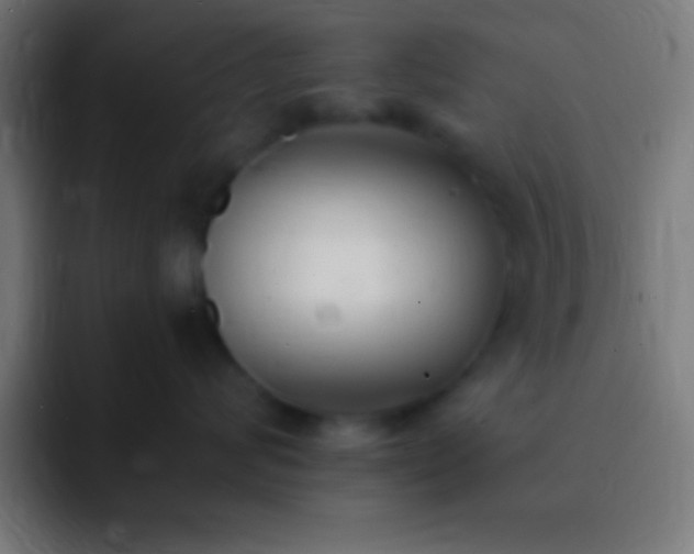 X0000093090624200710031813