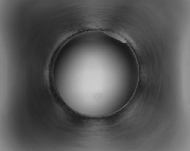 X0000093090626200710031812