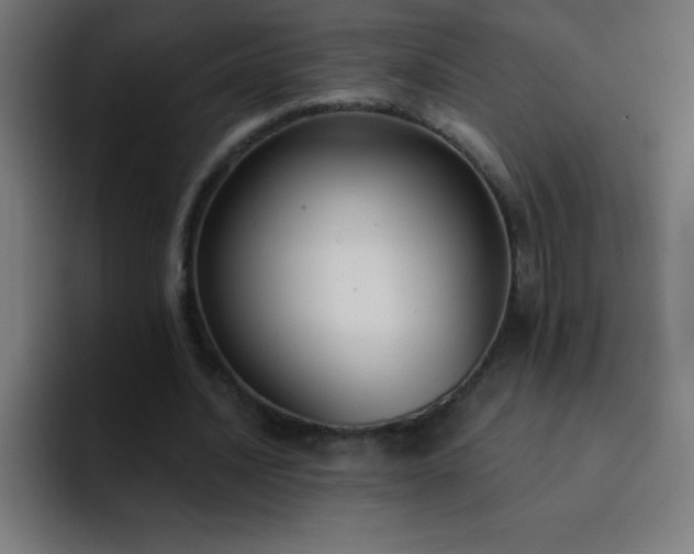 X0000093090628200710031812