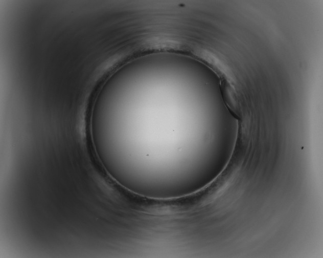 X0000093090629200710031812