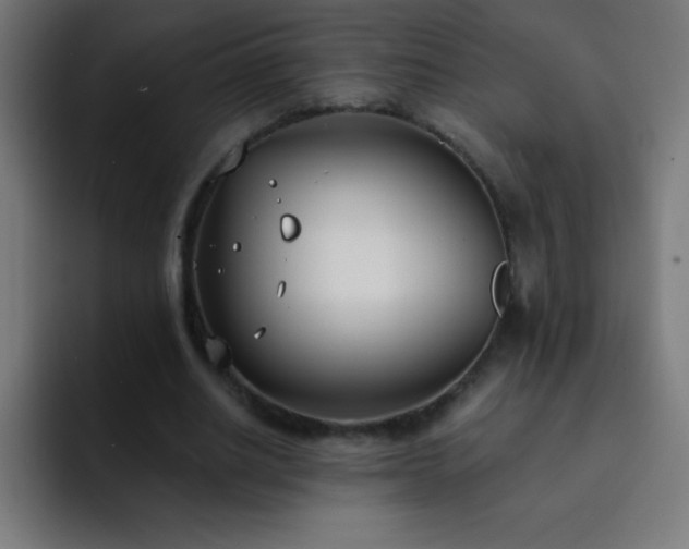 X0000093090630200710031812