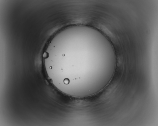 X0000093090632200710031812