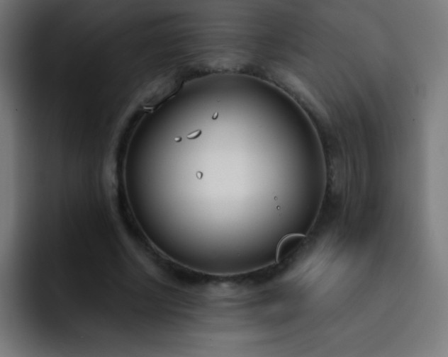 X0000093090634200710031812