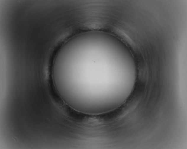 X0000093090635200710031812