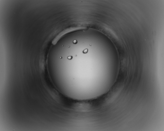 X0000093090644200710031812