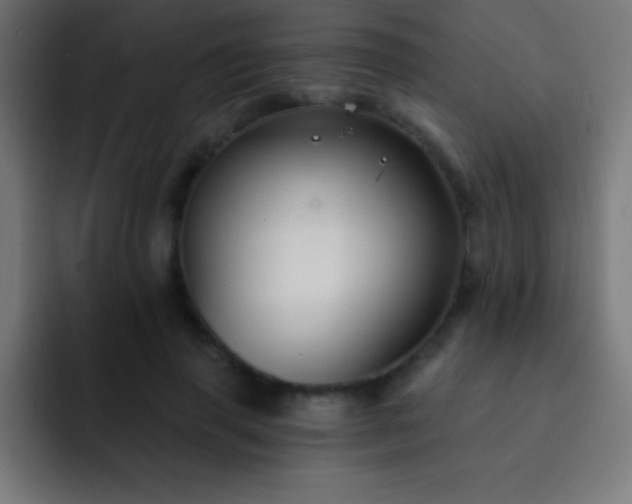 X0000093090645200710031812