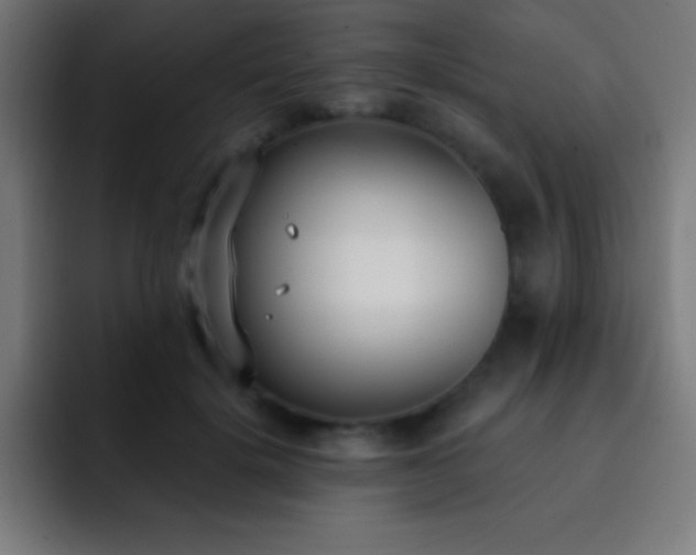 X0000093090652200710031813