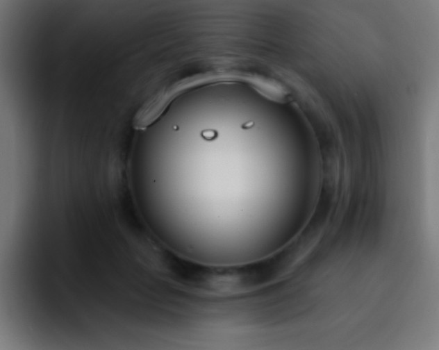 X0000093090653200710031813