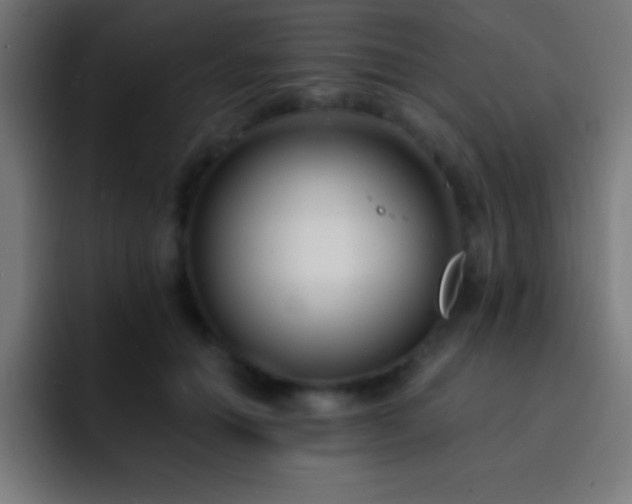 X0000093090654200710031813