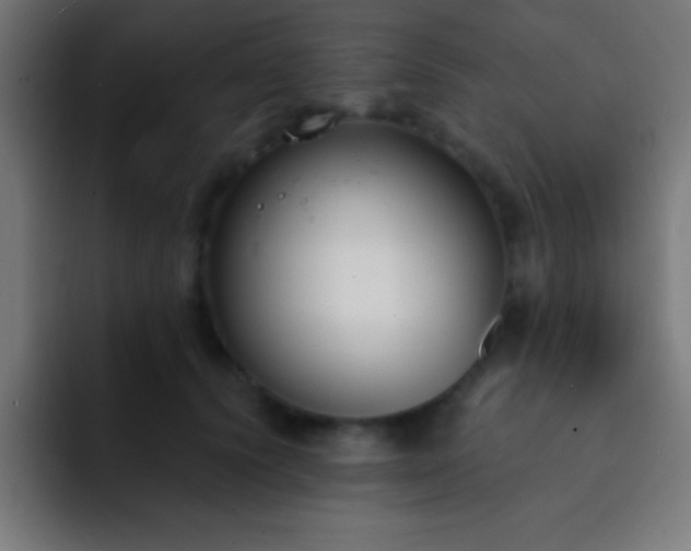 X0000093090656200710031813